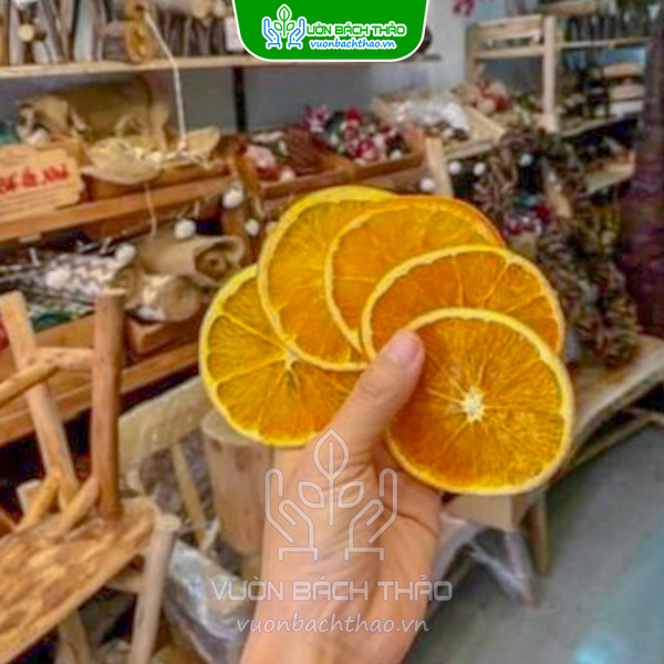 Set Phụ Kiện Trang Trí Noel Cam Thông Quế