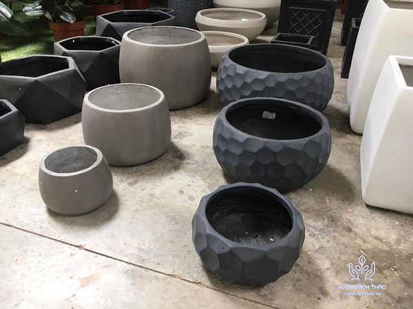 Chậu Đá Mài Gáo Dừa Kim Cương