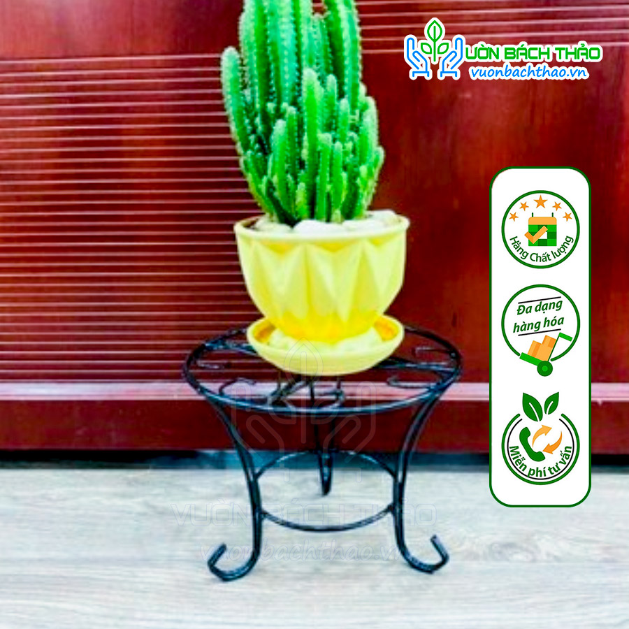Chân Đế Sắt Kê Chậu Cây Cảnh