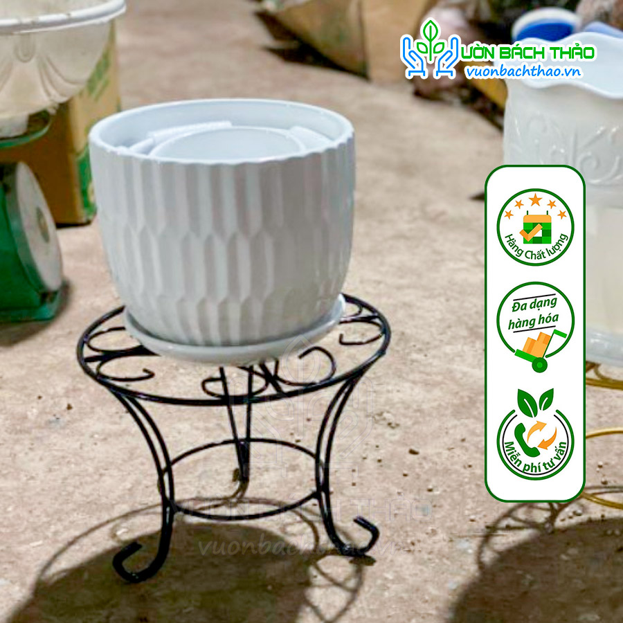 Chân Đế Sắt Kê Chậu Cây Cảnh