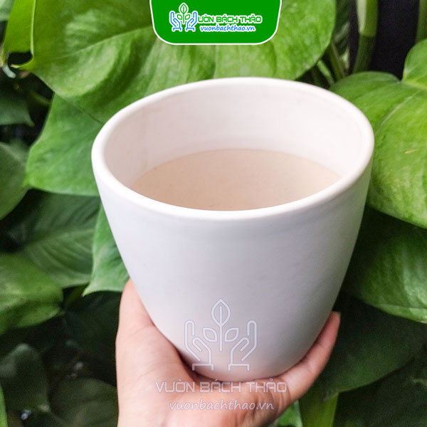 Chậu Sứ Bom Để Bàn