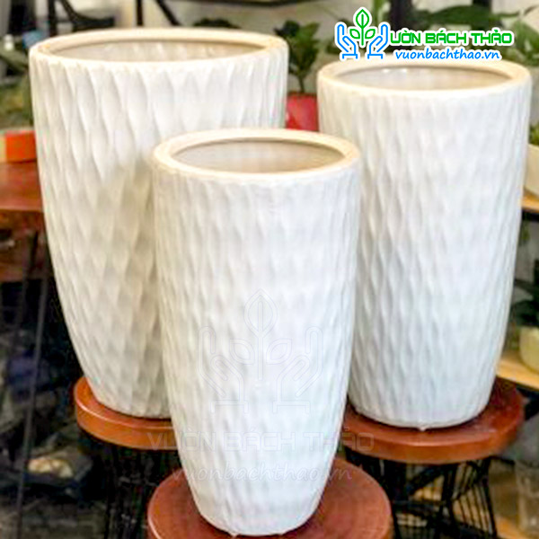 Chậu Sứ Bom Mắc Lưới Trồng Cây