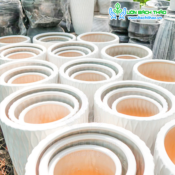 Chậu Sứ Bom Mắc Lưới Trồng Cây