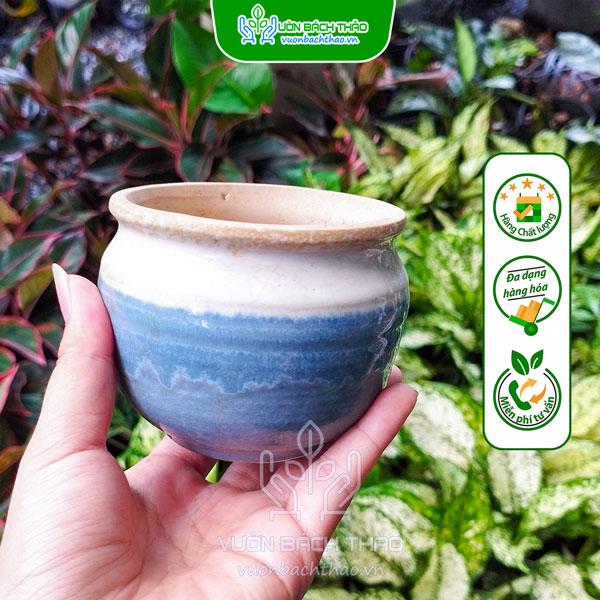 Chậu Gốm Sứ Hình Lu Trồng Cây