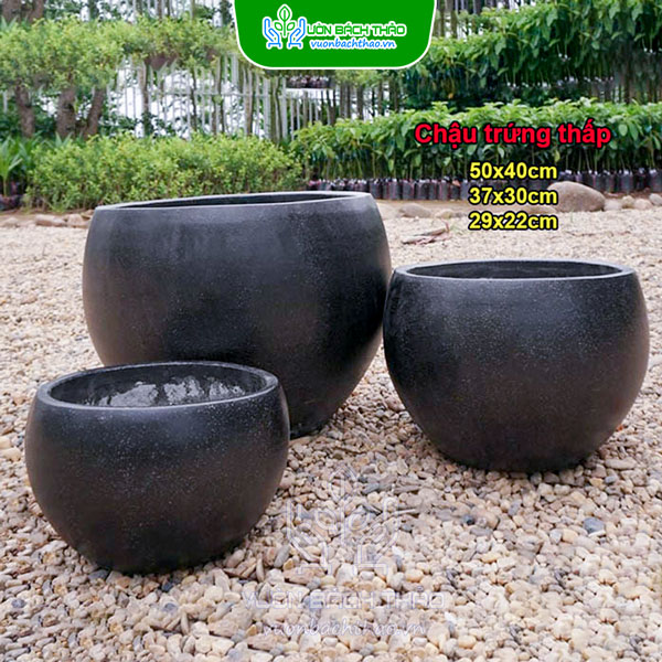 Chậu Đá Mài Hình Trứng