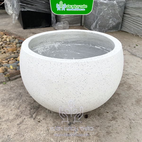 Chậu Xi Măng Đá Mài Gáo Dừa