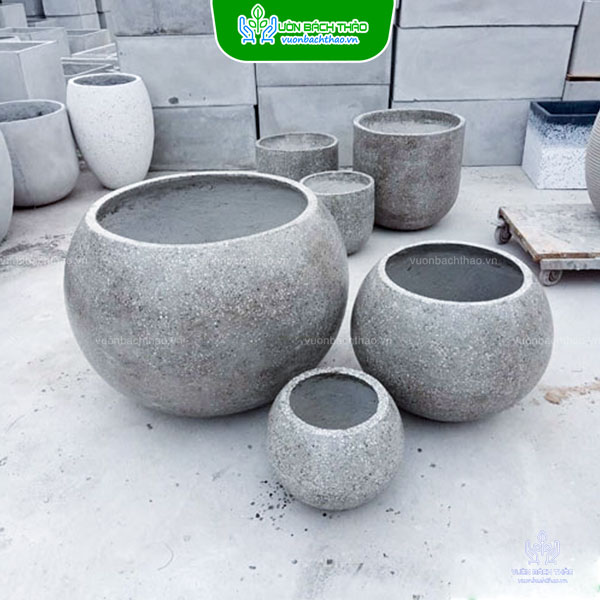 Chậu Xi Măng Đá Mài Gáo Dừa