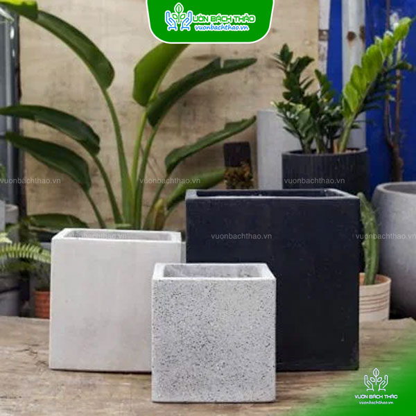 Chậu Đá Mài Vuông Trồng Cây