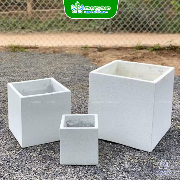 Chậu Đá Mài Vuông Trồng Cây
