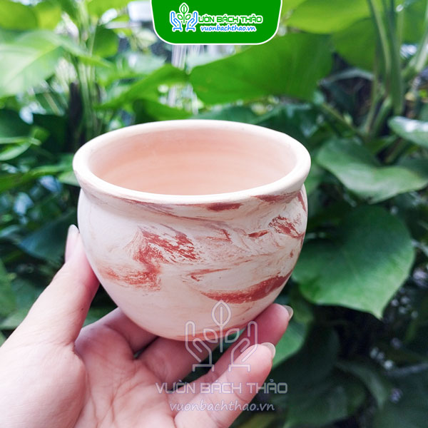 Chậu Đất Nung Dạng Lu Trồng Cây