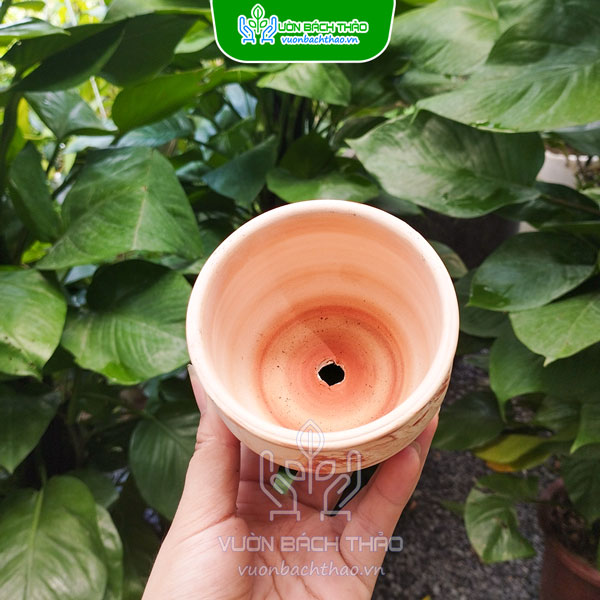 Chậu Đất Nung Dạng Lu Trồng Cây