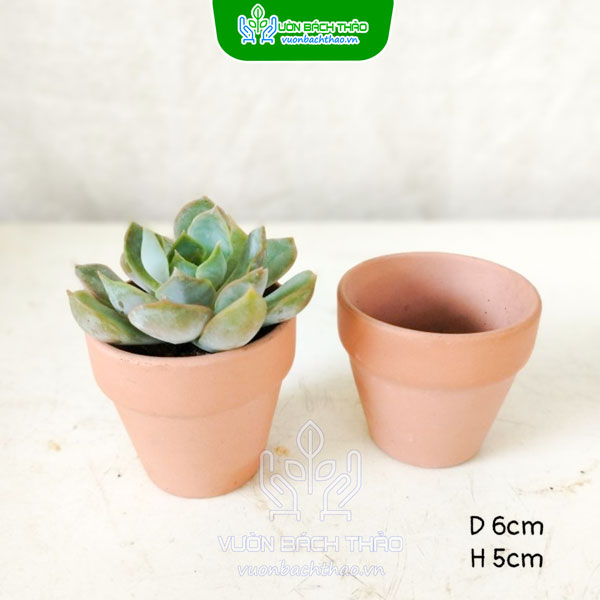 Chậu Đất Nung Vát Tròn Trồng Sen Đá