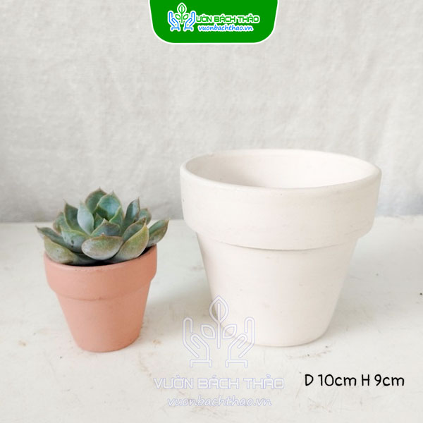 Chậu Đất Nung Vát Tròn Trồng Sen Đá