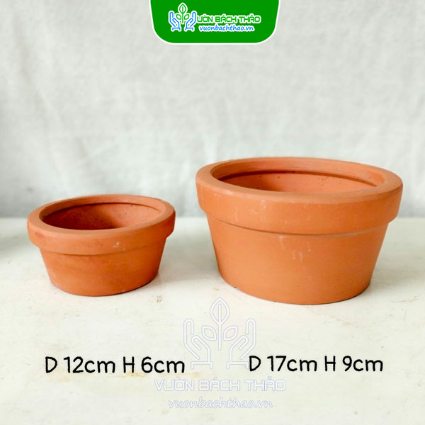 Chậu Đất Nung Vát Tròn Trồng Sen Đá