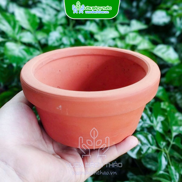 Chậu Đất Nung Vát Tròn Trồng Sen Đá