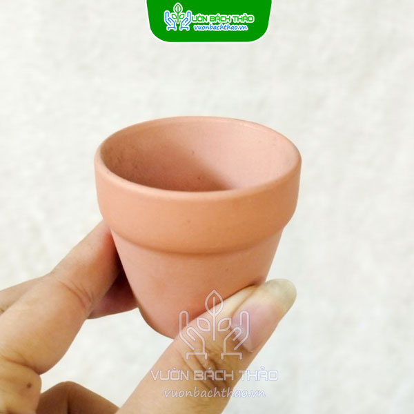 Chậu Đất Nung Vát Tròn Trồng Sen Đá