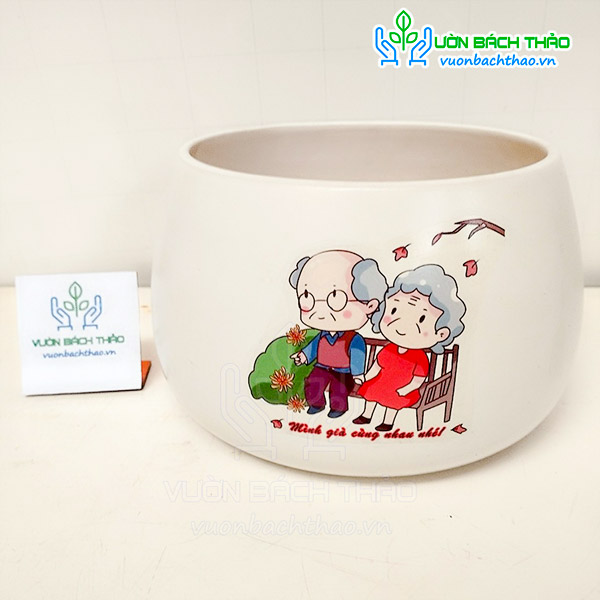 Chậu Hạt Dẻ Trồng Cây Để Bàn