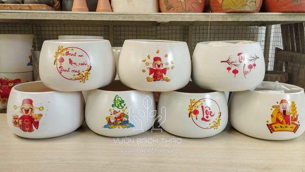 Chậu Hạt Dẻ Trồng Cây Để Bàn