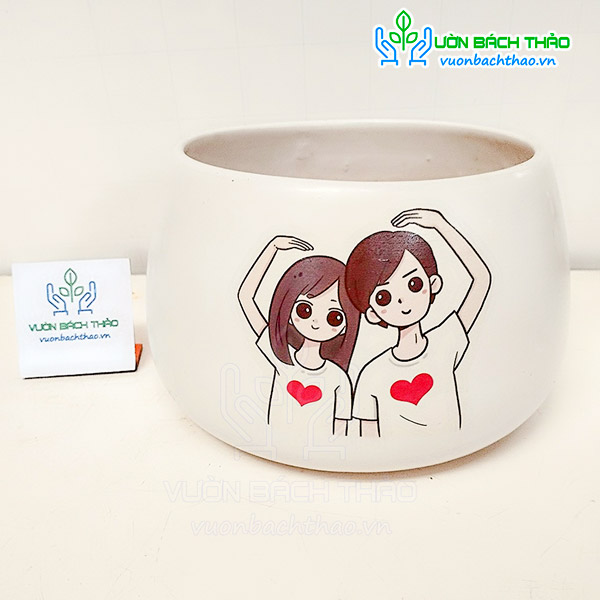 Chậu Hạt Dẻ Trồng Cây Để Bàn