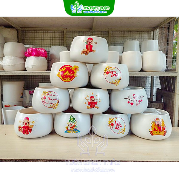 Chậu Hạt Dẻ Trồng Cây Để Bàn