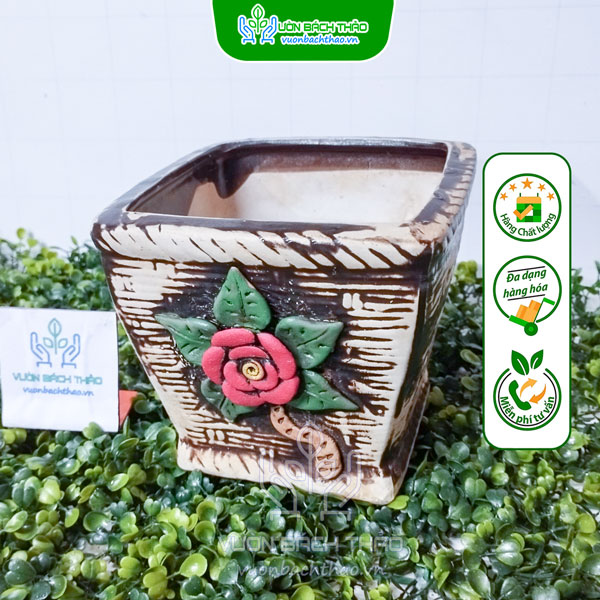 Chậu Kiểu Trồng Cây Mini