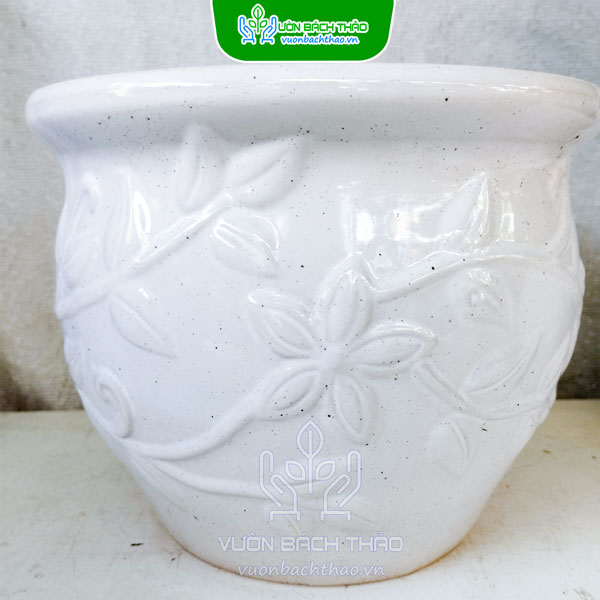 Chậu Lu Sứ Trắng Trồng Cây Để Bàn