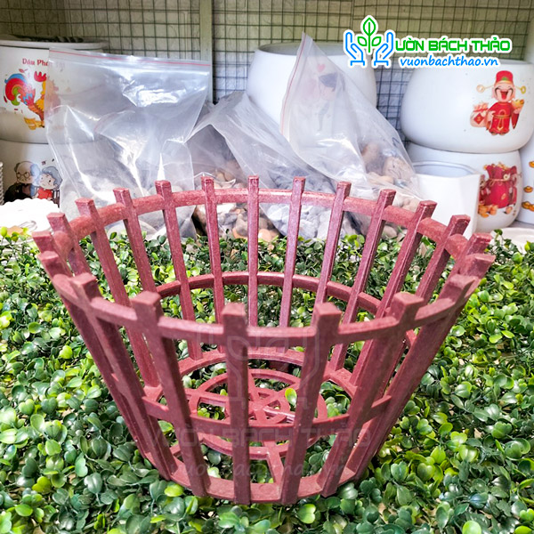 Chậu Nhựa Giả Gỗ Trồng Cây Phong Lan
