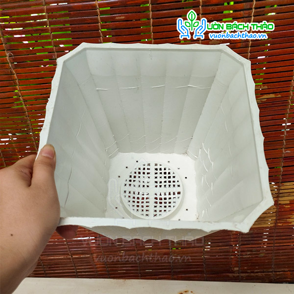 Chậu Nhựa Khía Vuông Trồng Cây