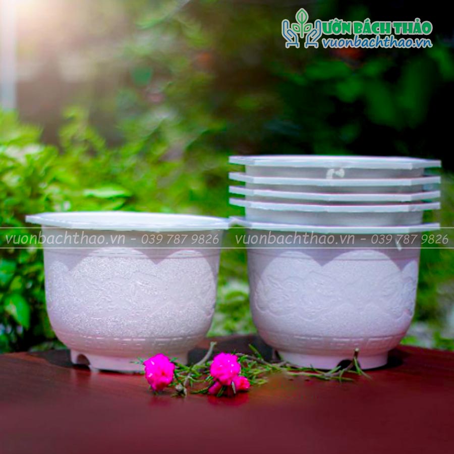 Chậu Nhựa Treo Trồng Cây