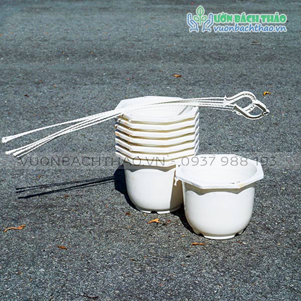 Chậu Nhựa Treo Trồng Cây