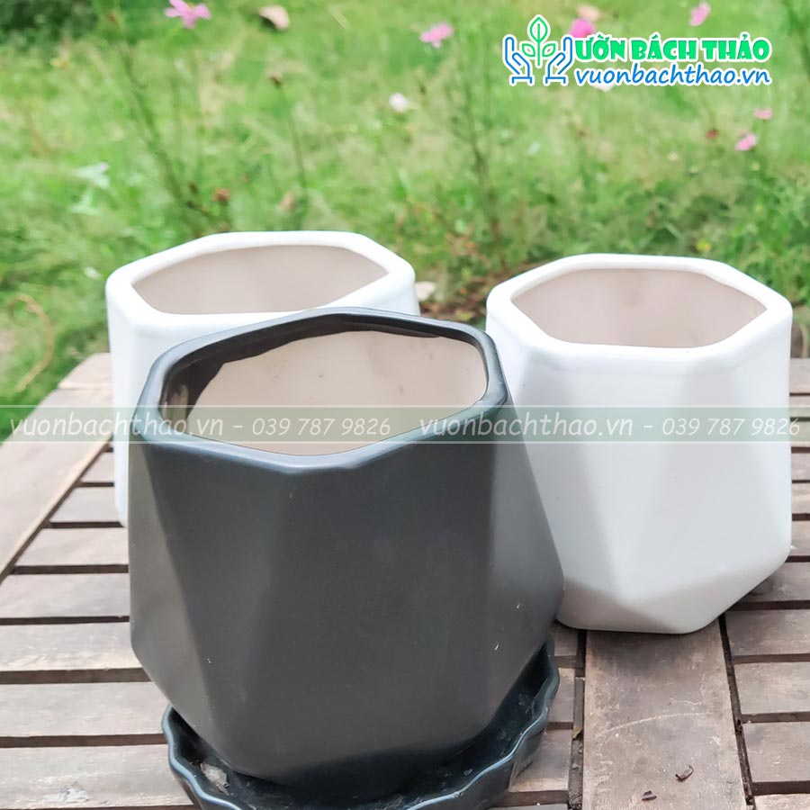 Chậu Sứ Trồng Cây Mini Để Bàn 08
