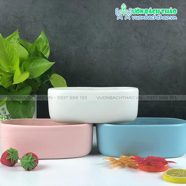 Chậu Sứ Oval Mini