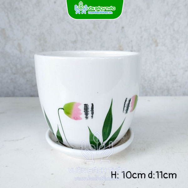 Chậu Sứ Trồng Cây Để Bàn Kèm Đĩa Lót