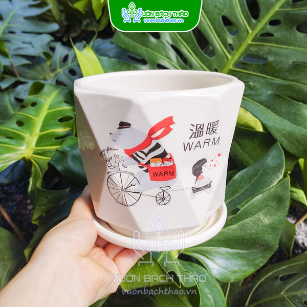 Chậu Sứ Trồng Cây Để Bàn Kèm Đĩa Lót