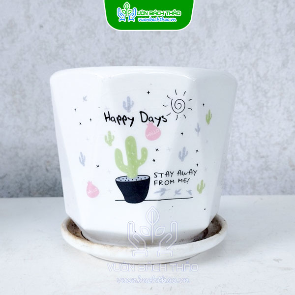 Chậu Sứ Trồng Cây Để Bàn Kèm Đĩa Lót