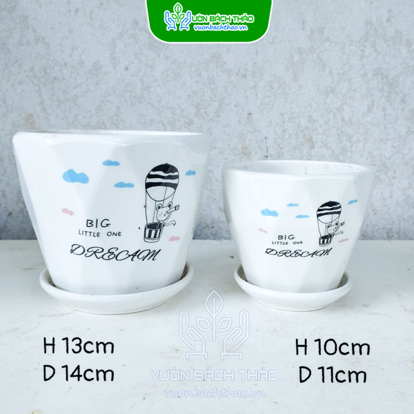 Chậu Sứ Trồng Cây Để Bàn Kèm Đĩa Lót