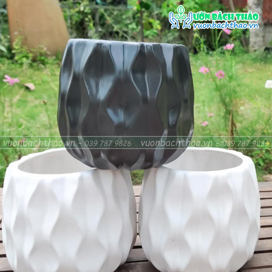 Chậu Sứ Trồng Cây Để Bàn Mini 09