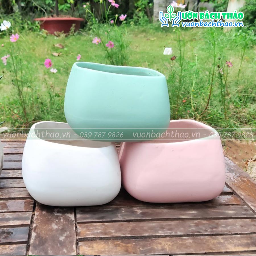 Chậu Sứ Để Bàn Mini Trồng Cây 06
