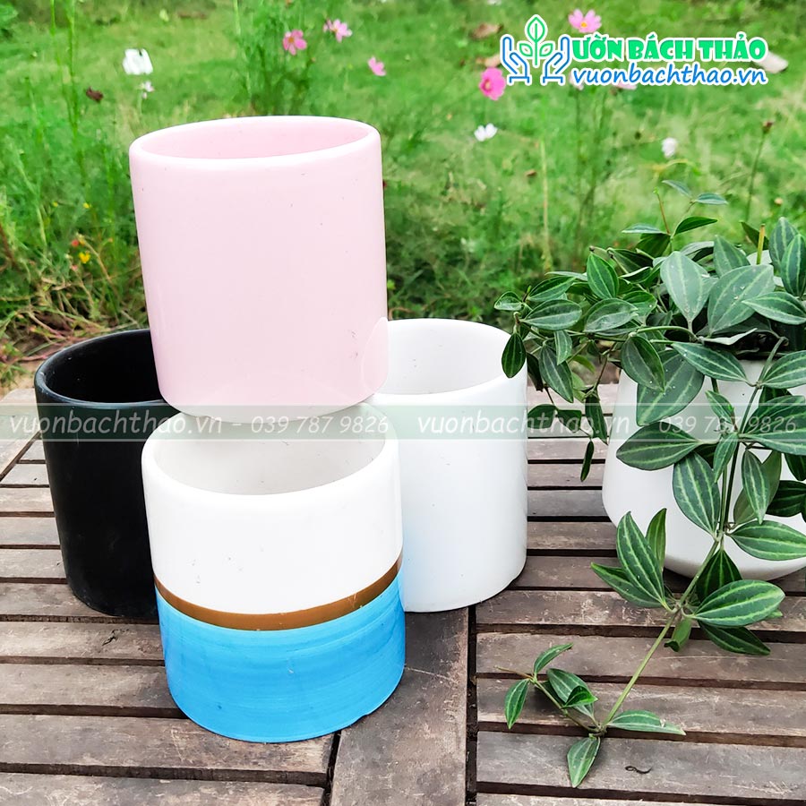 Chậu Sứ Trồng Cây Để Bàn Mini 10