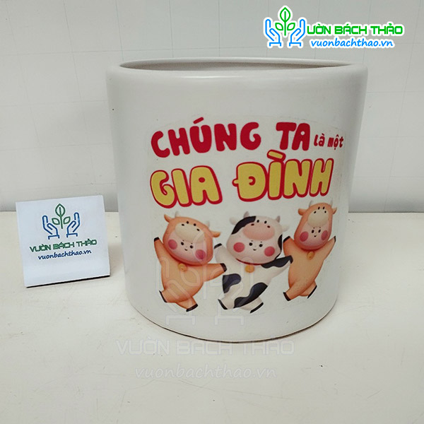 Chậu Trụ Tròn ĐK 15cm