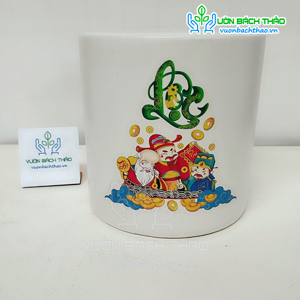 Chậu Trụ Tròn ĐK 15cm