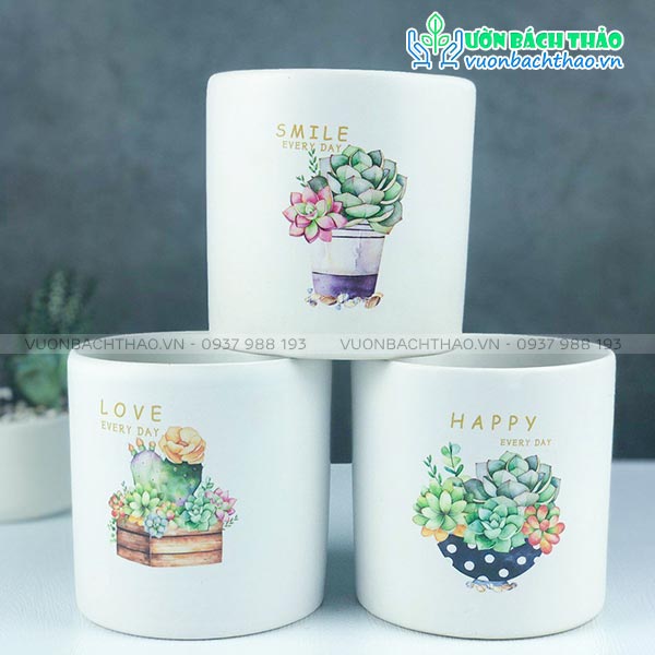 Chậu Sứ Trụ Tròn Mini