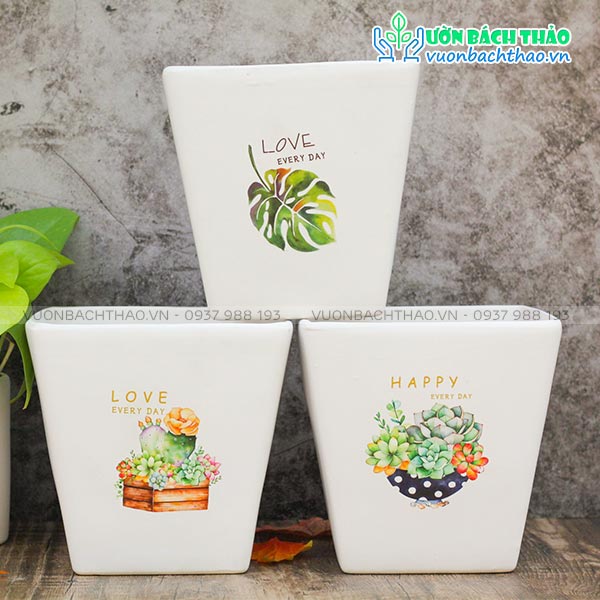 Chậu Sứ Vát Vuông Mini