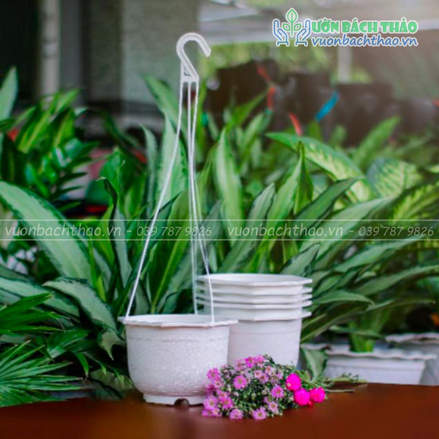 Chậu Nhựa Treo Trồng Cây