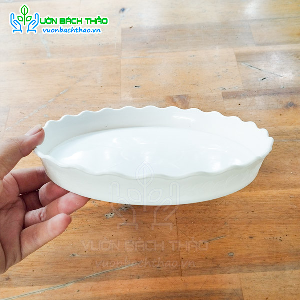 Dĩa nhựa lót đáy chậu nhiều size