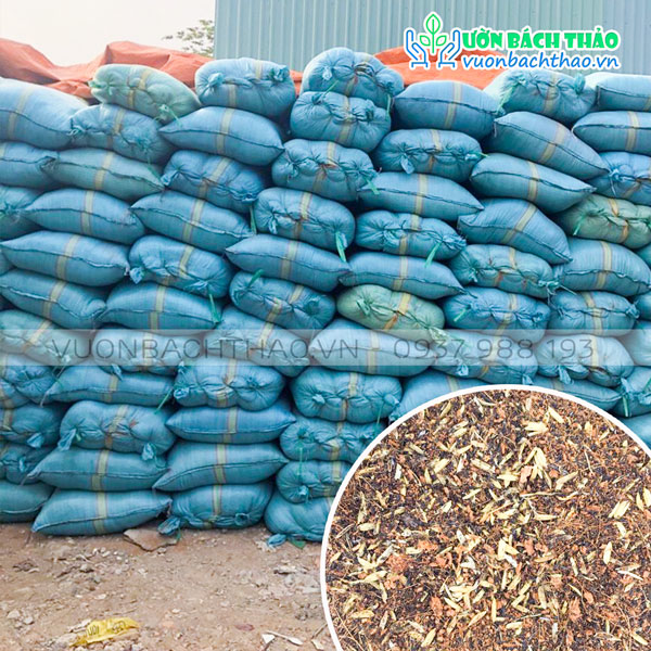 Hỗn Hợp Giá Thể Trồng Cây