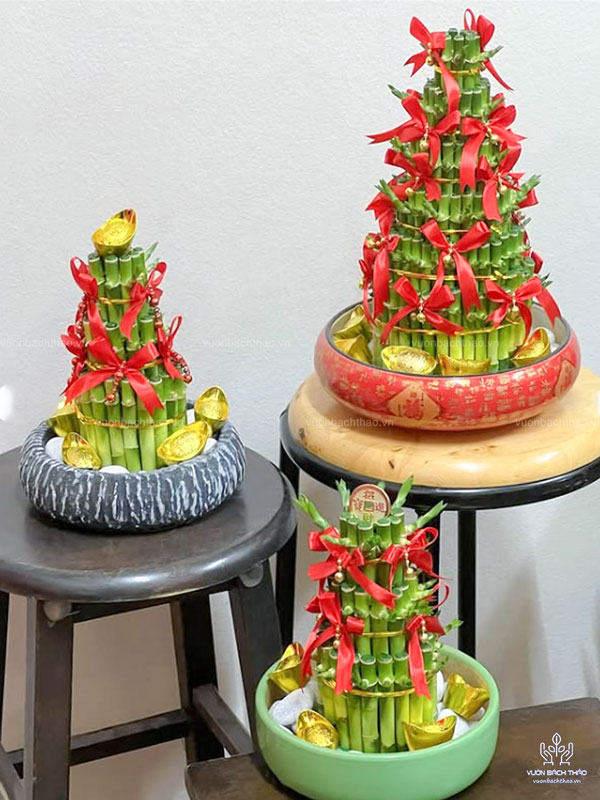 Cây Phát Lộc Tầng