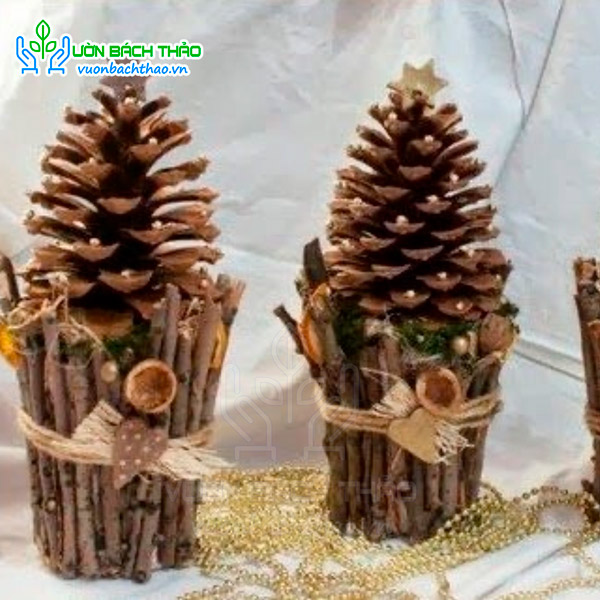 Quả / Trái Thông Khô Trang Trí Noel