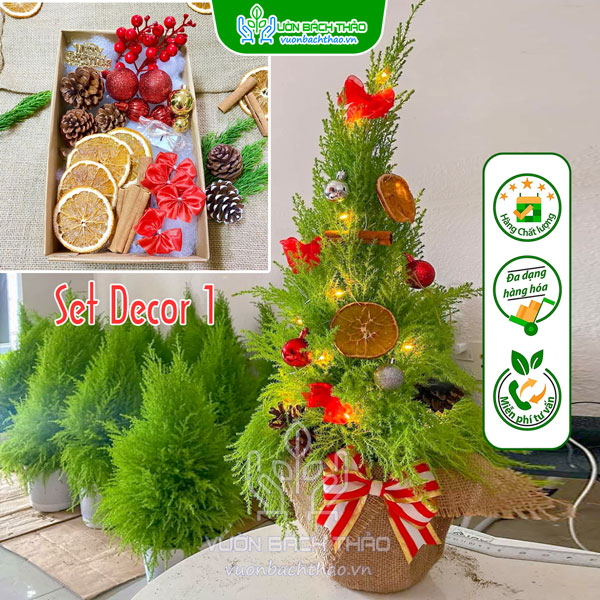 Bộ Phụ Kiện Trang Trí Cây Tùng Thông Noel Mẫu 1 | Vườn Bách Thảo