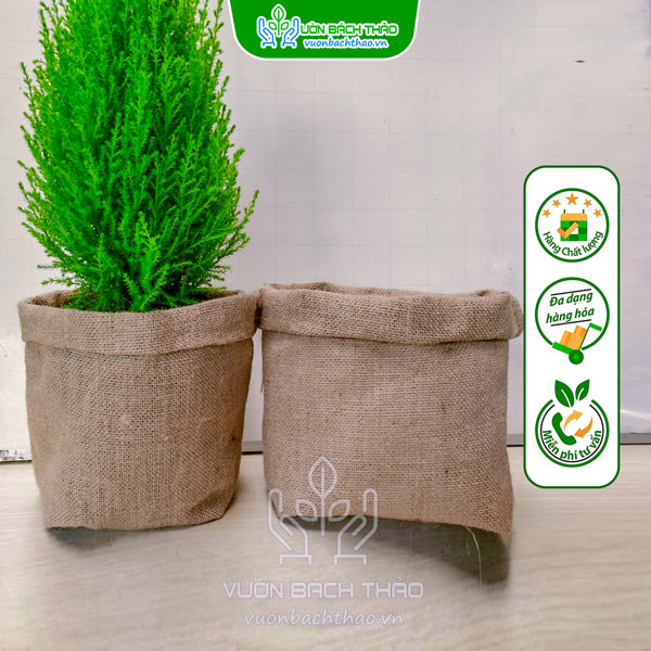 Túi Bao Bố Trang Trí Cây Cảnh, Túi Vải Bố Đựng Nhiều Kích Cỡ